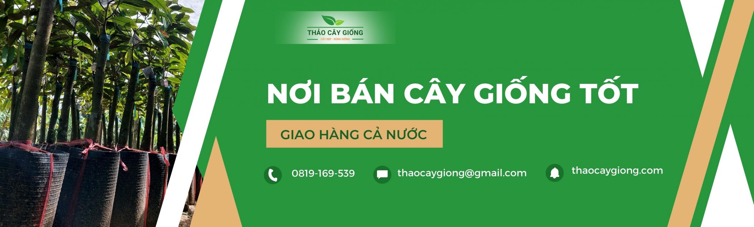 Trang chủ Thảo cây giống - Nơi bán cây giống chất lượng